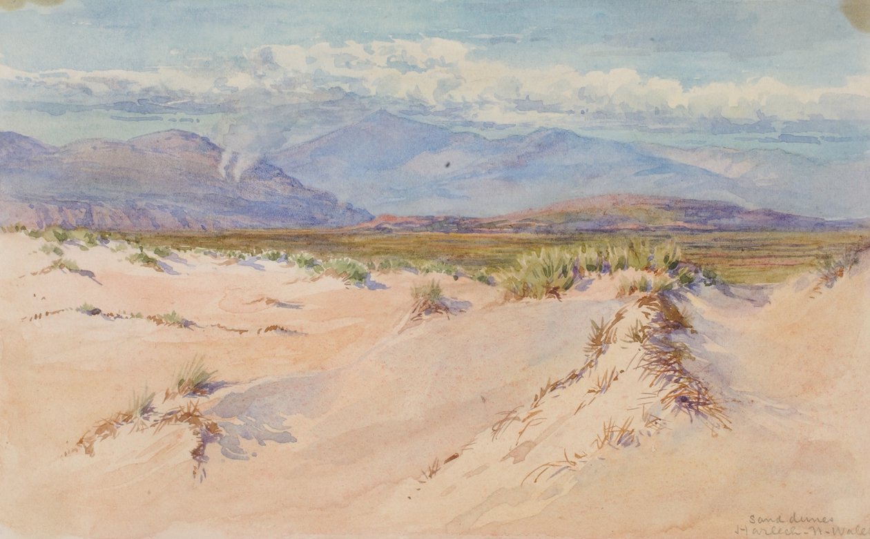Sanddünen, Harlech, Nordwales von George Elbert Burr