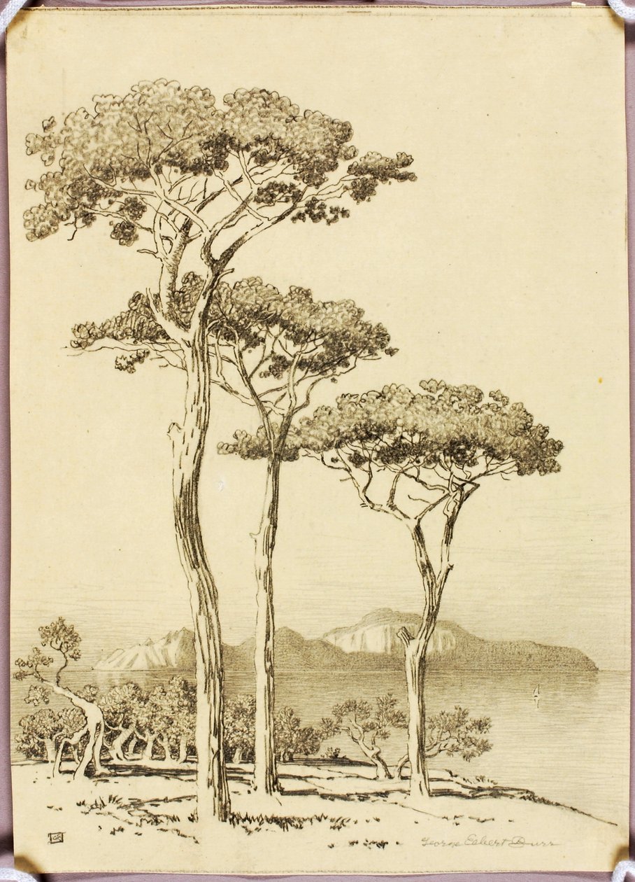 Ohne Titel (Transferzeichnung für Capri von Sorrent) von George Elbert Burr