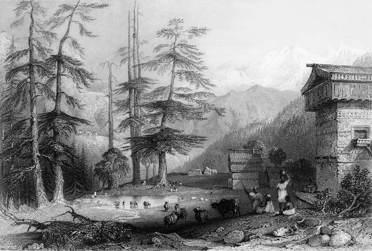 Dorf Koghera und Deodar-Wald, nahe dem Choor von George Francis White