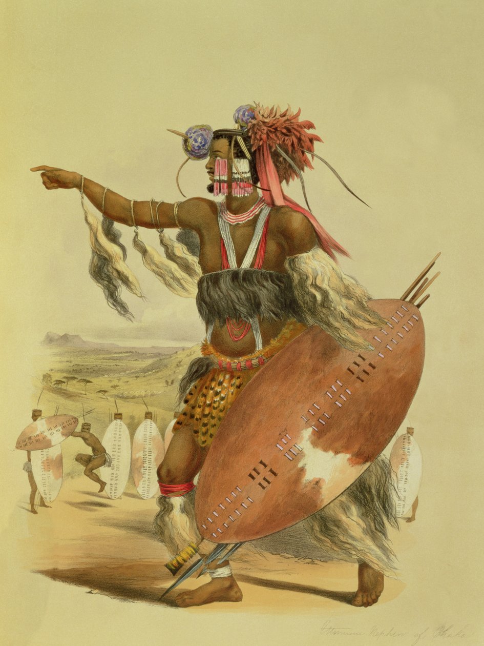 Zulu-Krieger, Utimuni, Neffe von Chaka, dem verstorbenen Zulu-König, Tafel 13 aus 