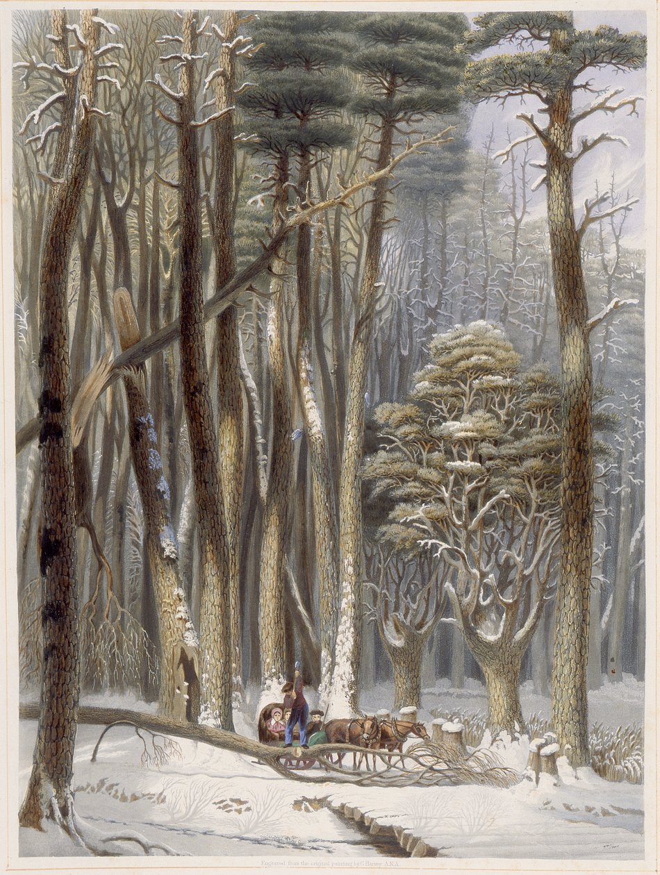 Winter, Behinderte Reisende in einem Kiefernwald, aus Harveys Scenes of the Primitive Forest of America, 1841 von George Harvey