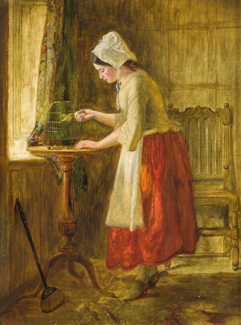 Vogel füttern von George Hay