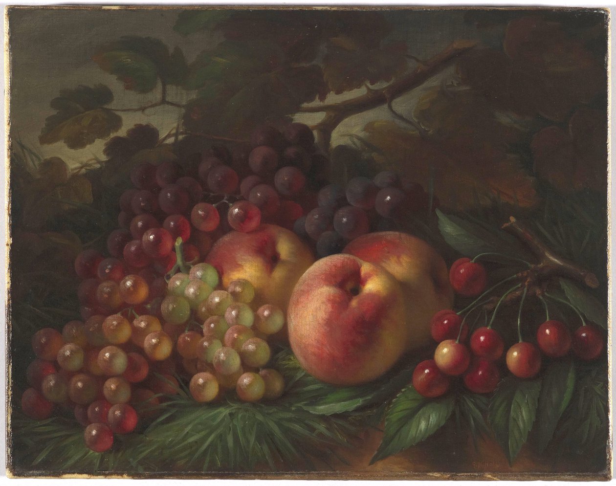 Pfirsiche, Trauben und Kirschen von George Henry Hall