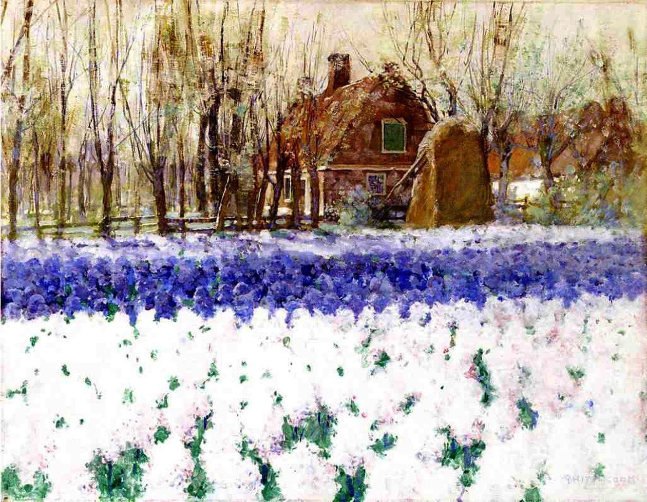 Ein Cottage und ein Feld von Hyazinthen von George Hitchcock