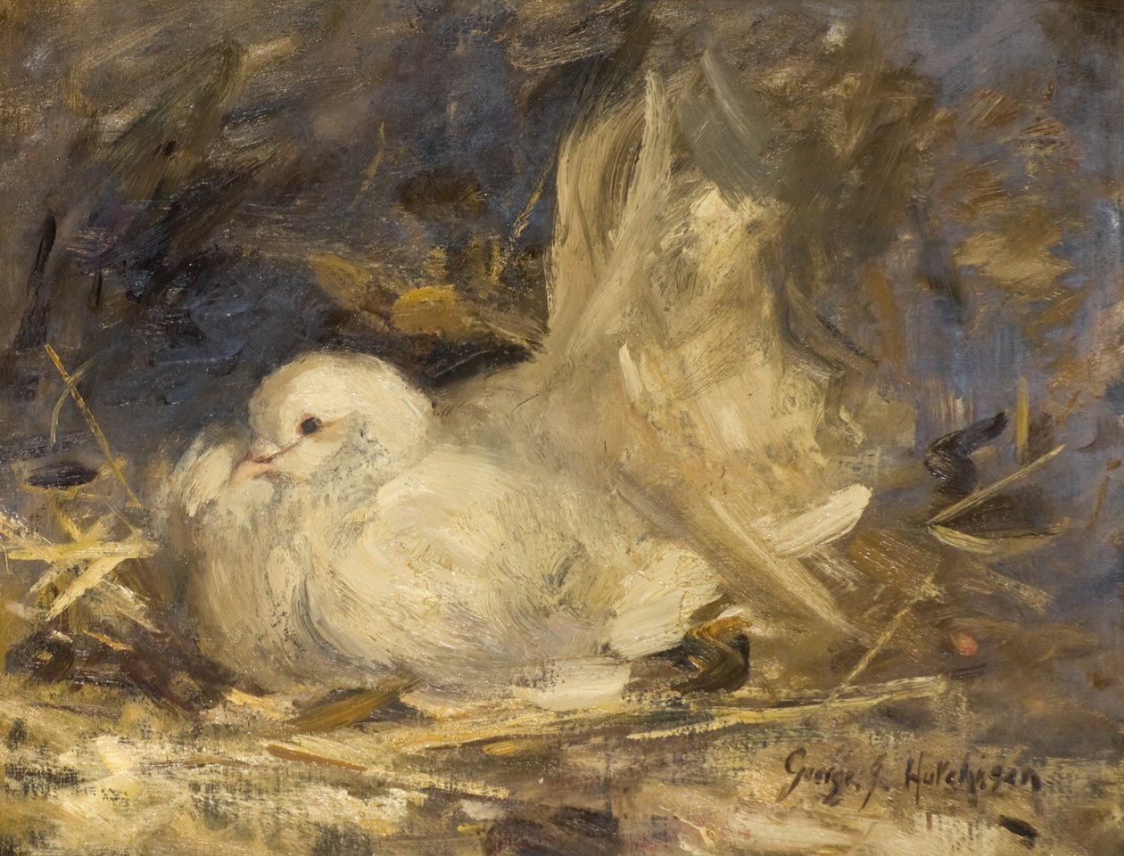 Die brütende Taube von George Jackson Hutchison