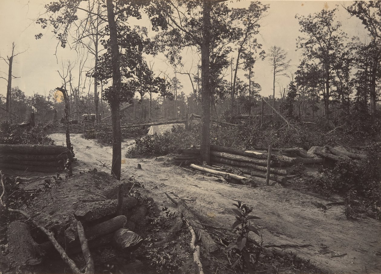 Schlachtfeld von New Hope Church, Georgia Nr. 1 von George N. Barnard