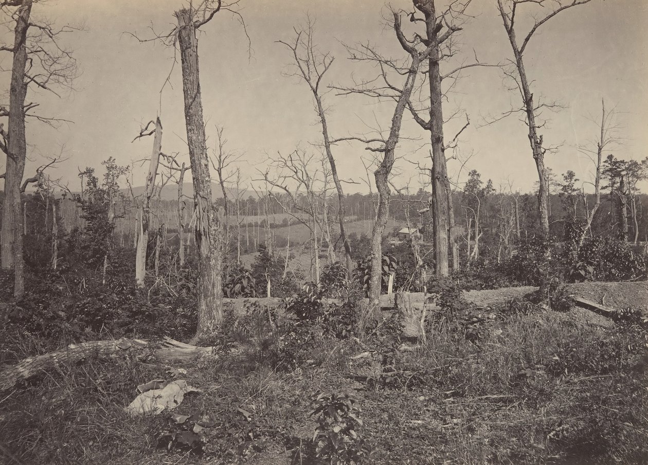 Schlachtfeld von Resacca, Georgia Nr. 3, 1860er Jahre von George N. Barnard