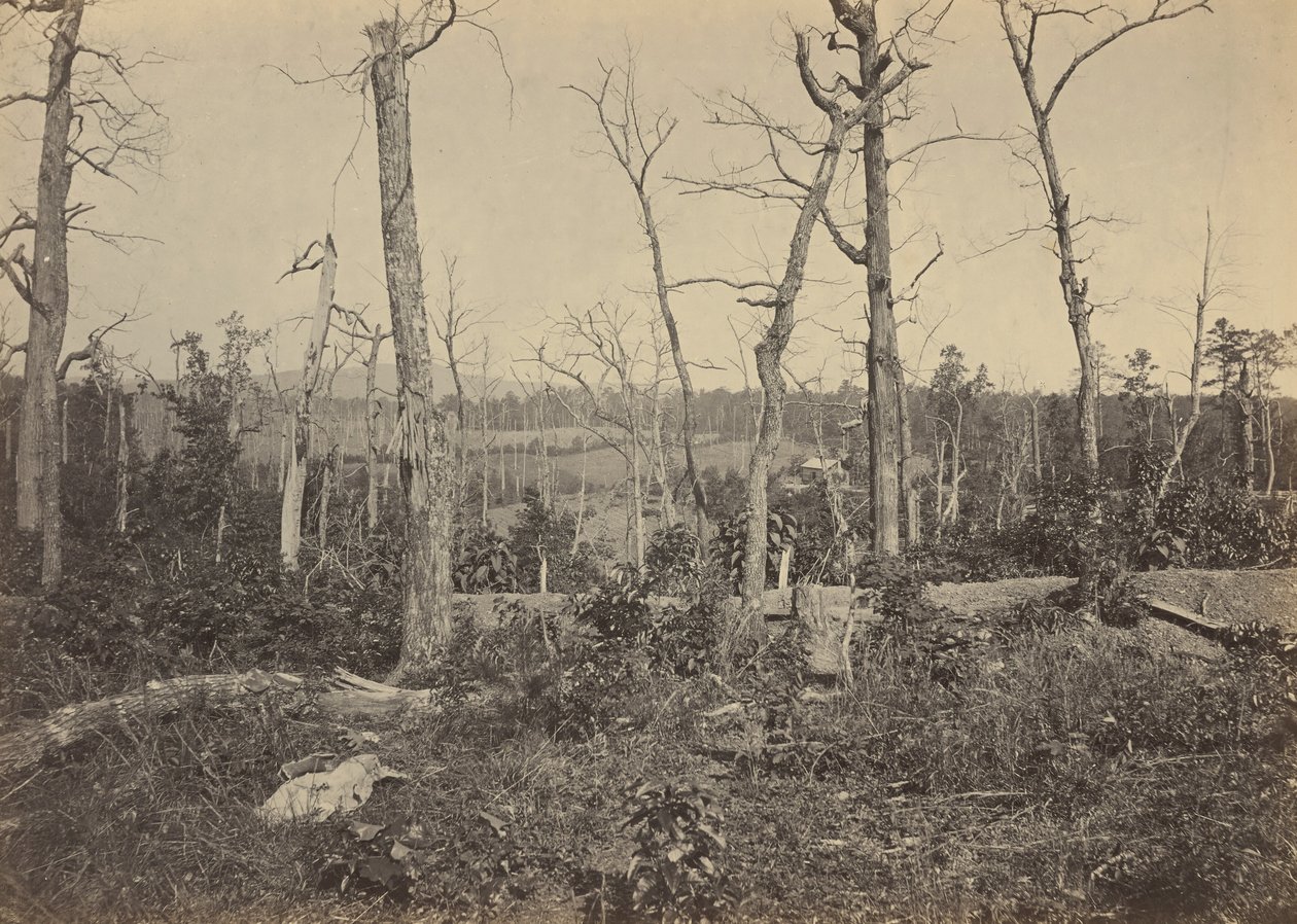 Schlachtfeld von Resaca, Georgia, Nr. 3, 1864 von George N. Barnard