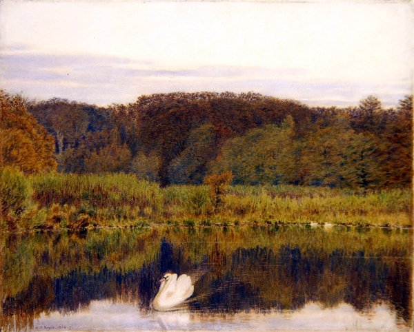 Abinger Mill Pond, Surrey - Morgen im Spätherbst von George Price Boyce