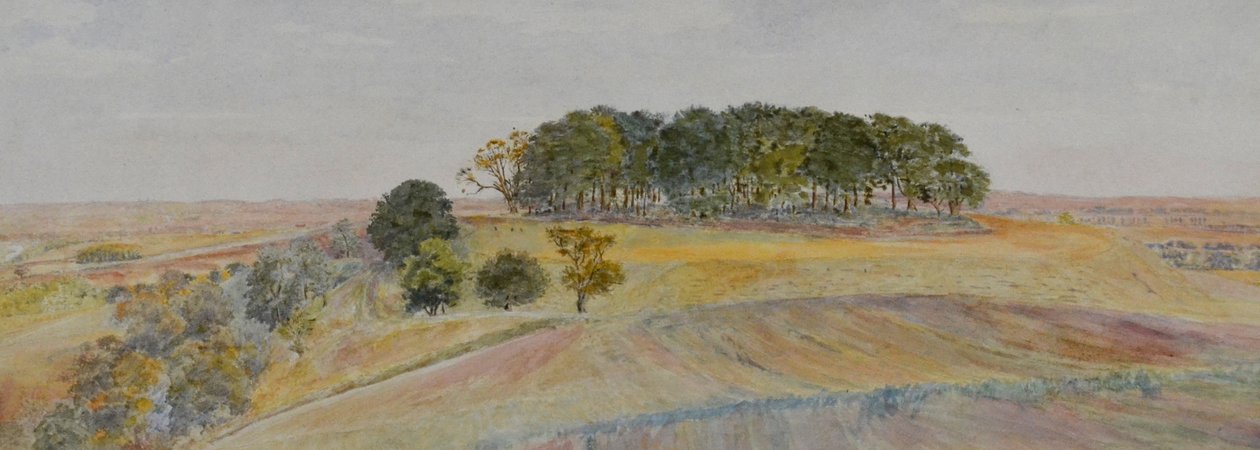 Einer der Wittenham Clumps oder Sinodun Hills, Berkshire, ca. 1870-90 von George Price Boyce