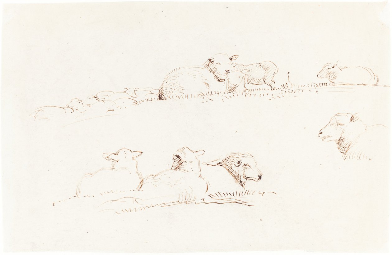 Studien von Schafen auf der Weide von George Richmond