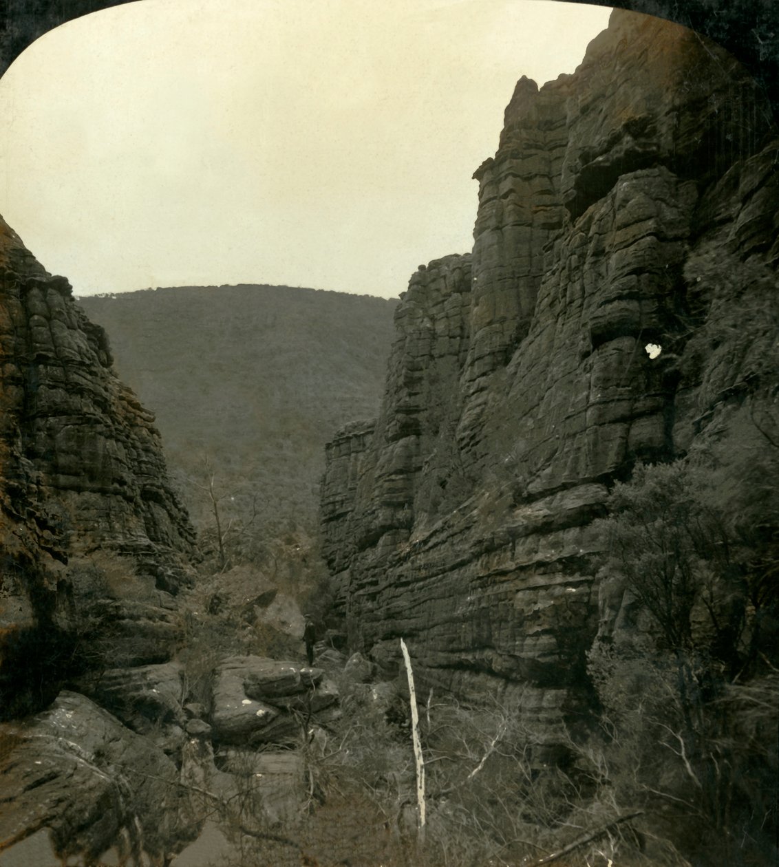 Der Große Canon, Grampians, Victoria, Australien von George Rose
