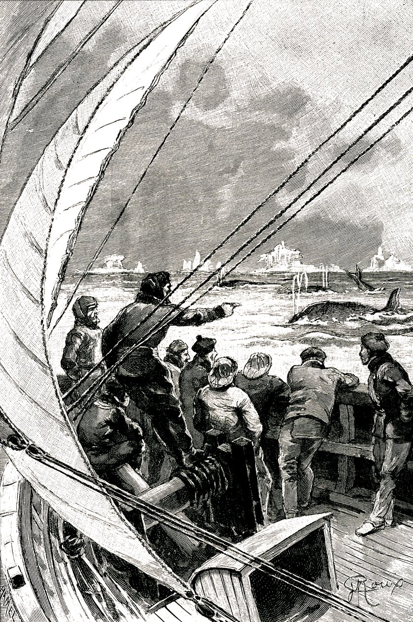 Auf See Richtung Pol: Die Besatzung eines Schiffes (Segelboot) sieht eine Gruppe von Walen. Illustration des Romans von Jules Verne (1828-1905) „Der Eissphinx“ von George Roux