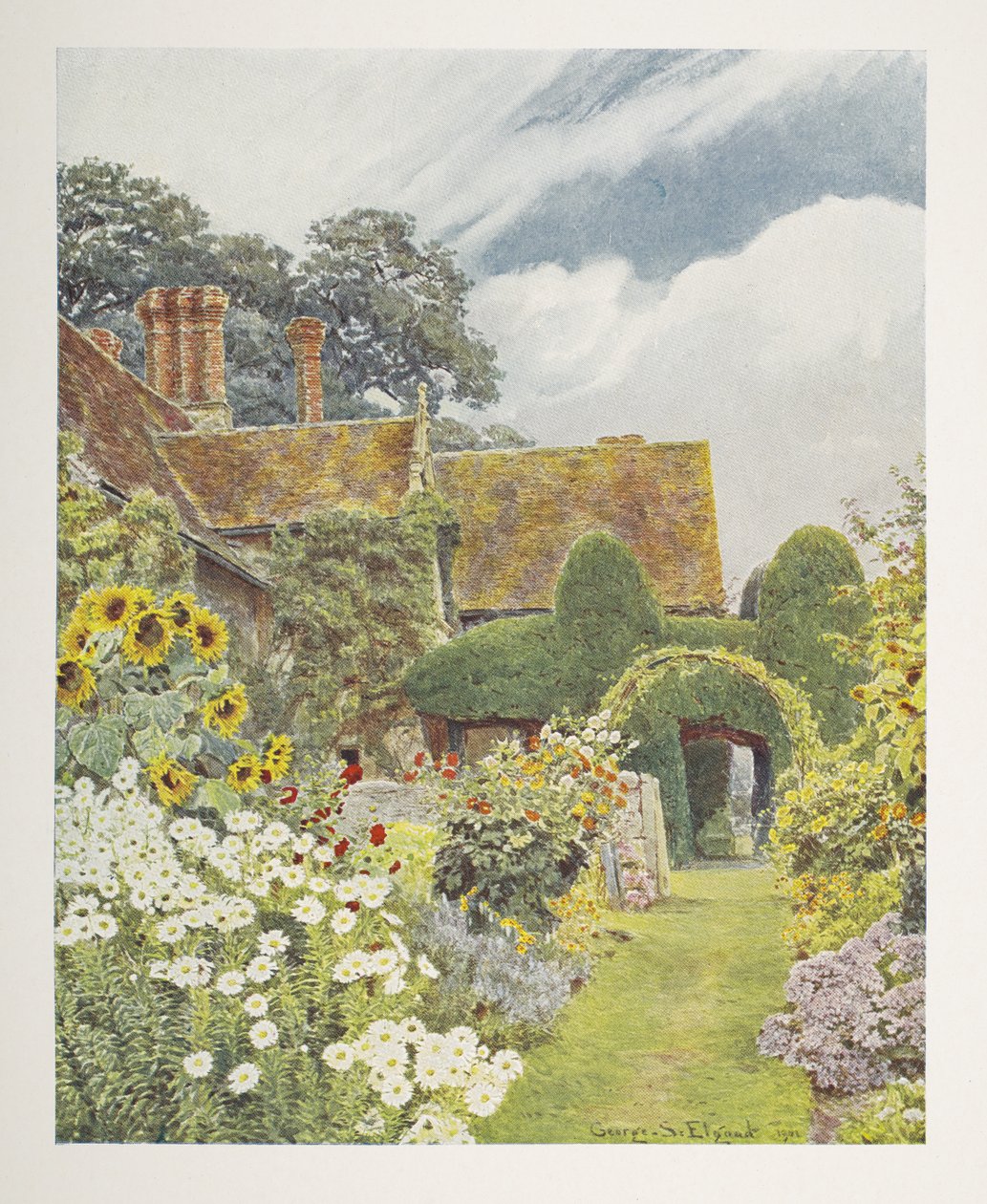 Cleeve Prior, Sonnenblumen, Illustration in 