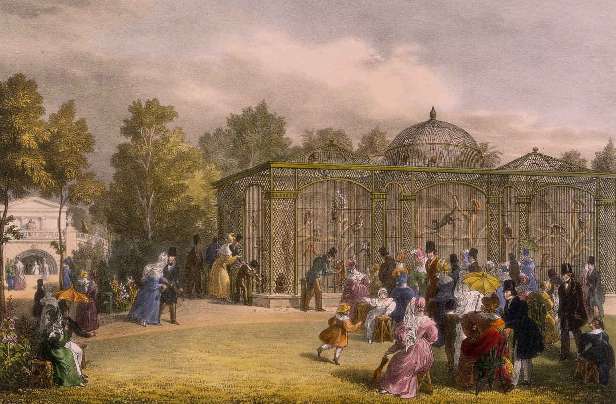 Das Affenhaus im Zoologischen Garten, Regent