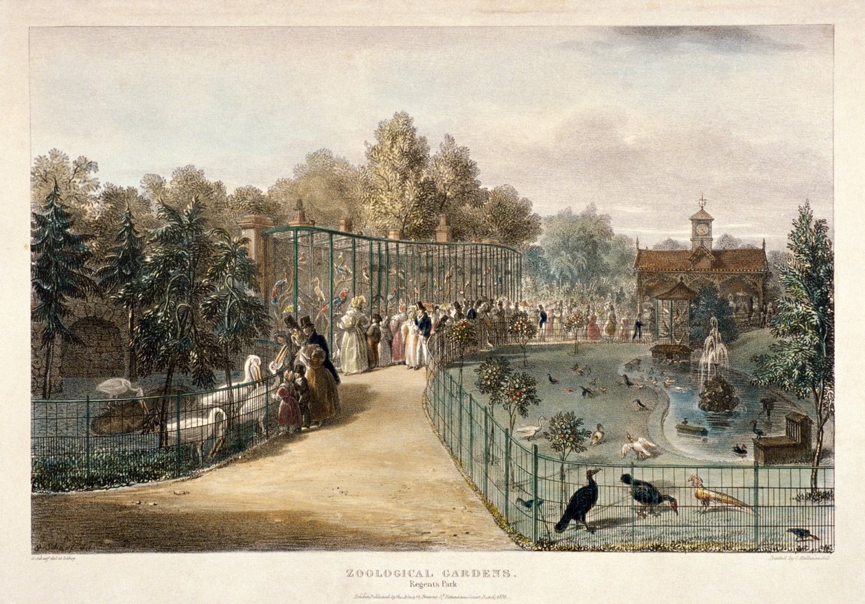 Zoologische Gärten, Regent
