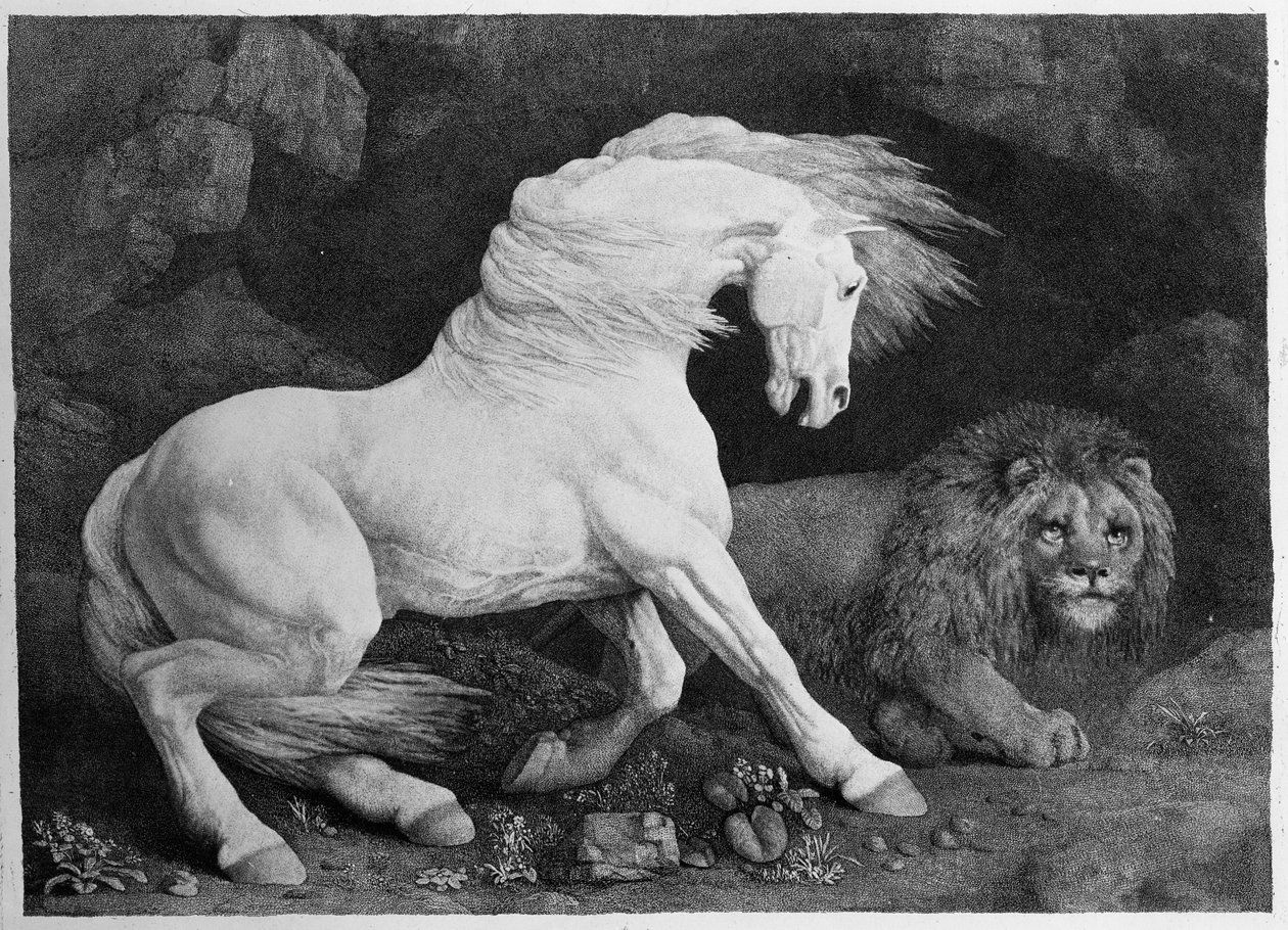 Ein Pferd erschreckt durch einen Löwen, graviert vom Künstler von George Stubbs