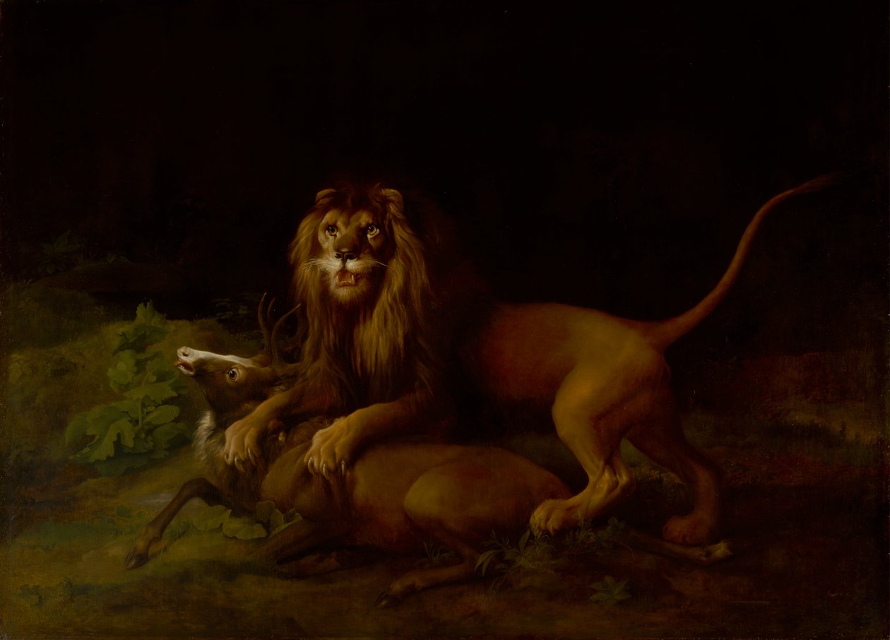 Ein Löwe greift einen Hirsch an, zwischen 1765 und 1766 von George Stubbs