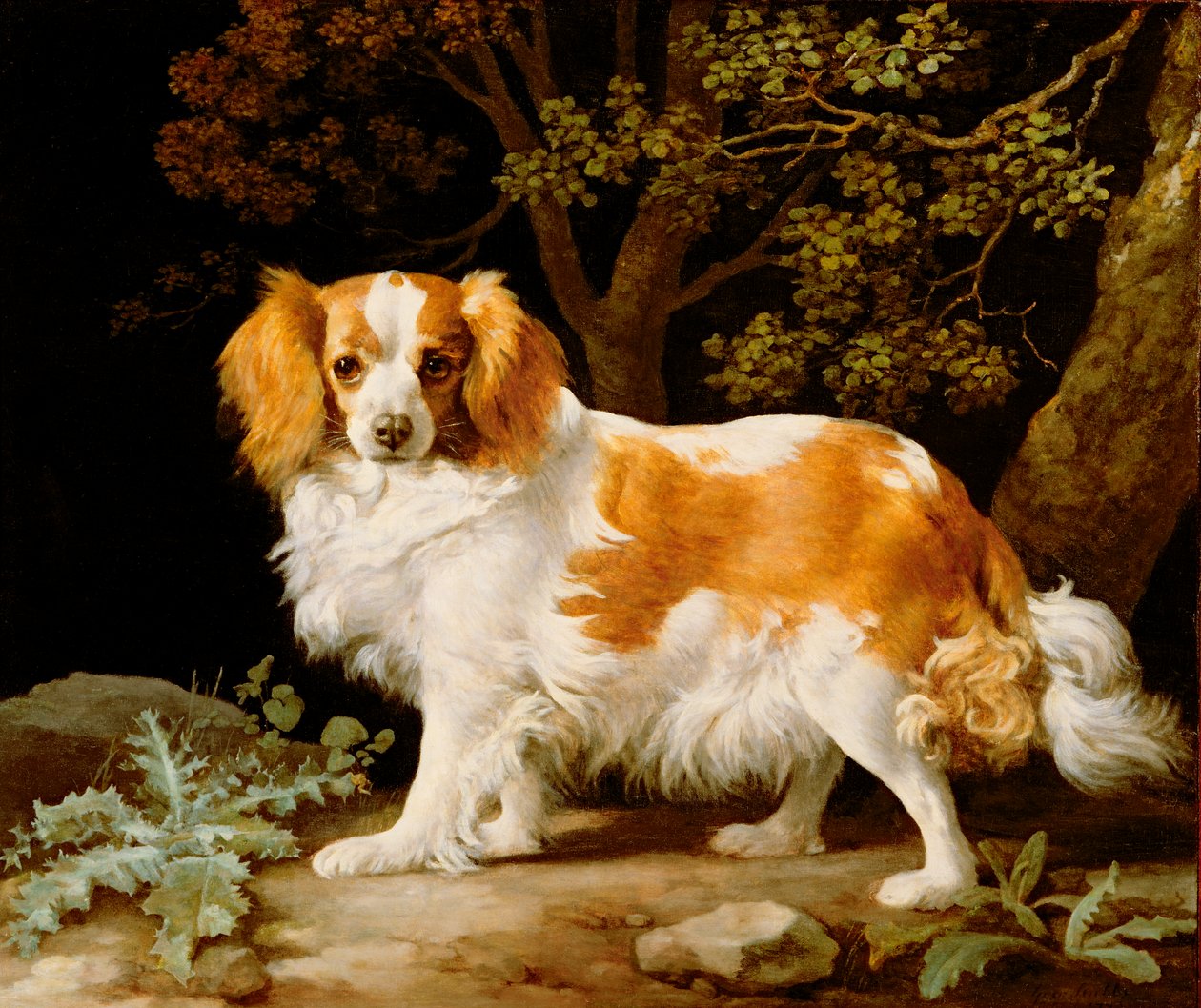 Ein Leber- und Weißer King Charles Spaniel in einer bewaldeten Landschaft von George Stubbs