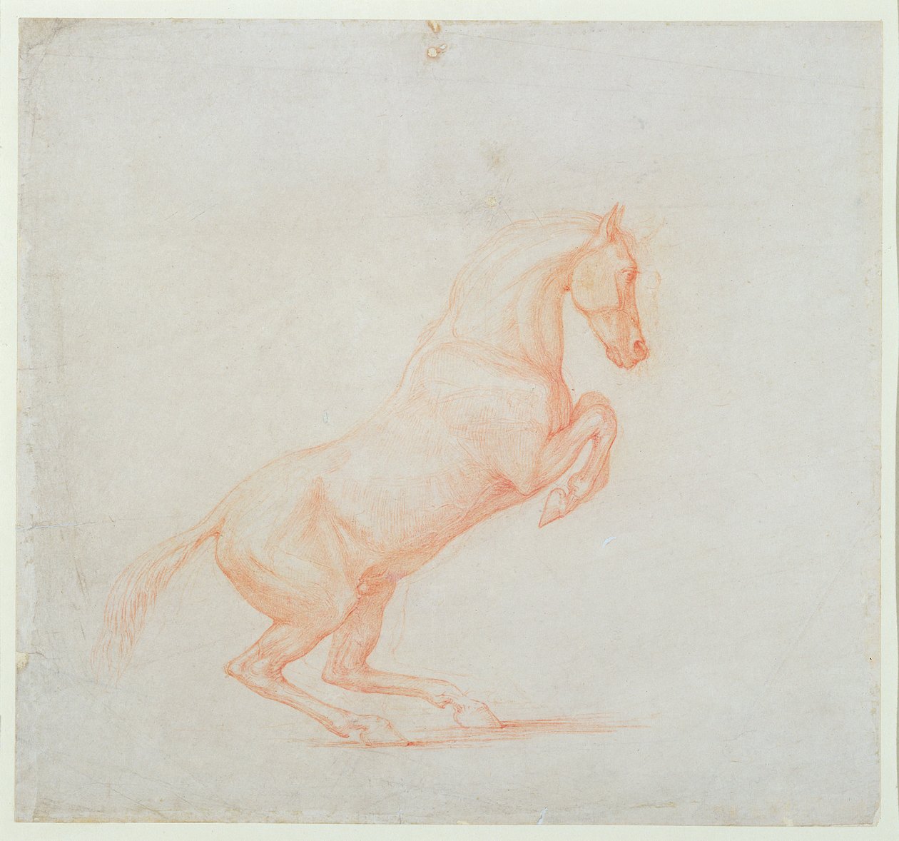 Ein tänzelndes Pferd, nach rechts gewandt, 1790 von George Stubbs