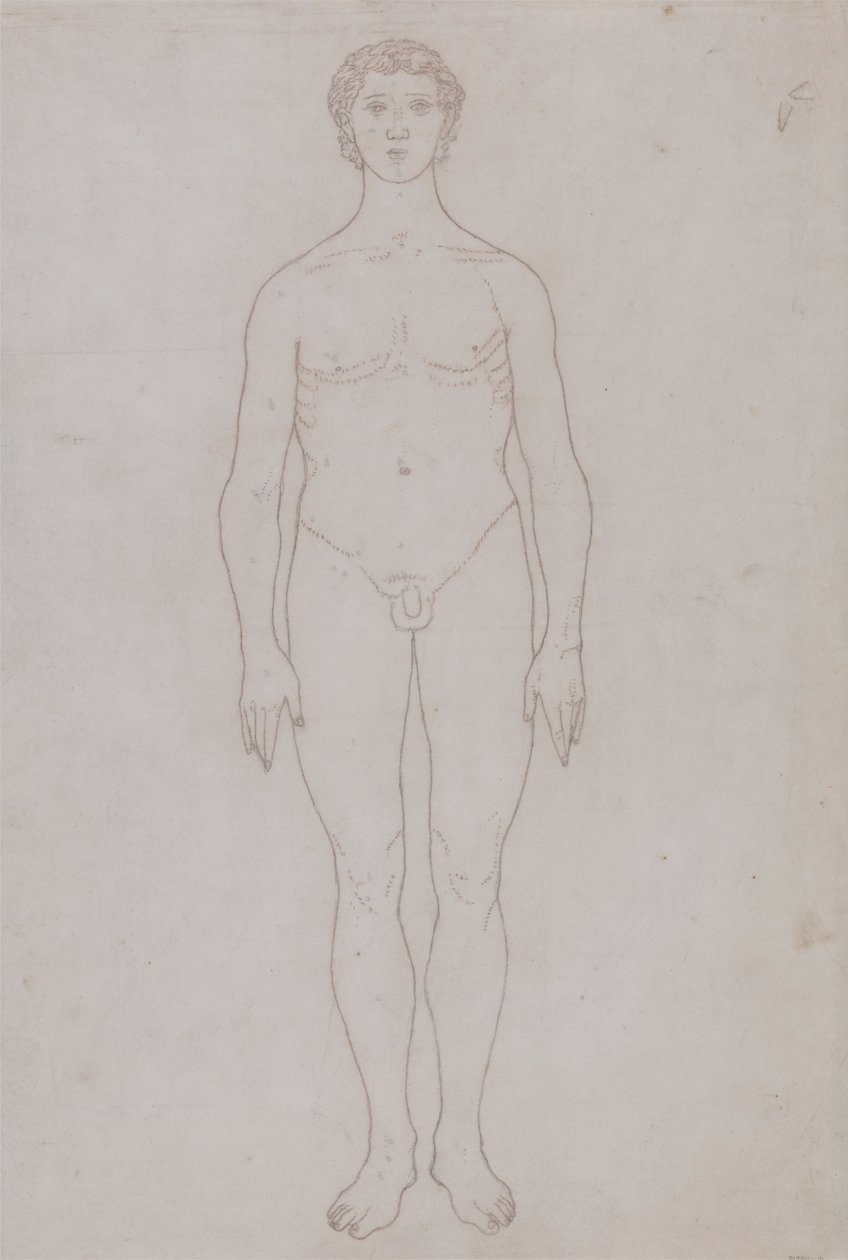 Studie der menschlichen Figur, Vorderansicht (Umrisszeichnung für Tafel VI) von George Stubbs