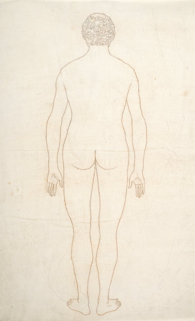 Studie der menschlichen Figur, Rückansicht, aus Ein vergleichendes anatomisches Exposé der Struktur des menschlichen Körpers mit dem eines Tigers und eines gewöhnlichen Huhns von George Stubbs