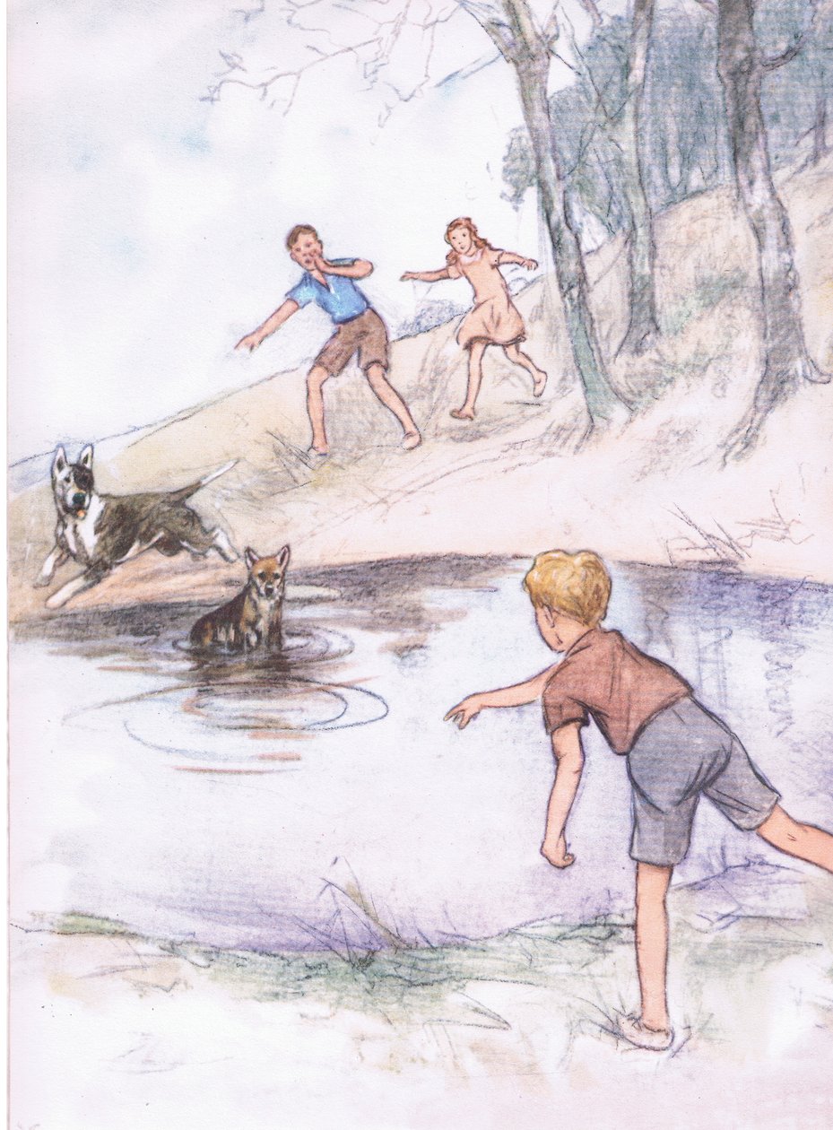 Im Teich, aus Pets Limited veröffentlicht von Collins von George Vernon Stokes