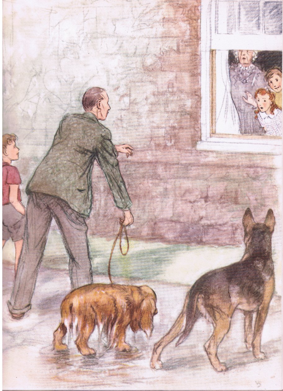 Die Spaniels waren mit Schlamm und Schleim bedeckt, aus Pets Limited veröffentlicht von Collins von George Vernon Stokes