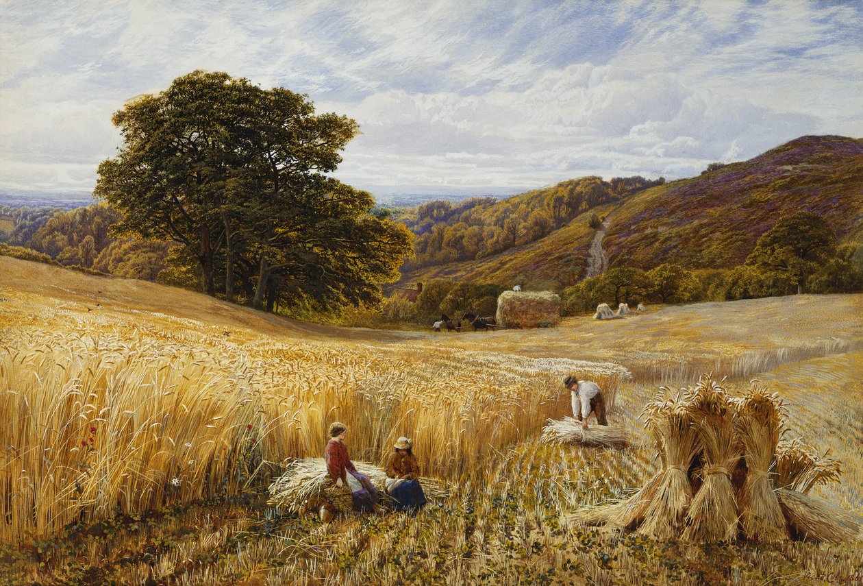 Erntezeit in der Nähe von Holmbury Hill, Surrey von George Vicat Cole