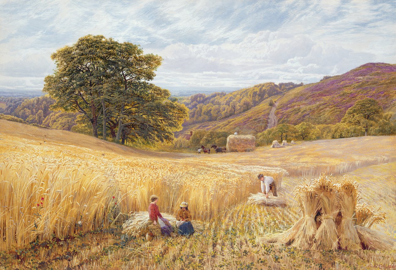 Erntezeit in der Nähe von Holmbury Hill, Surrey, 1865 von George Vicat Cole