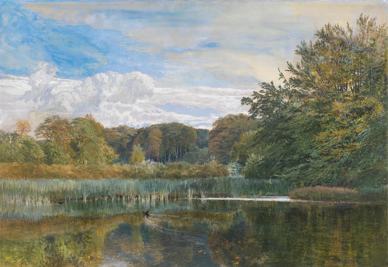 Der Mühlenteich, Evelyn Woods von George Vicat Cole