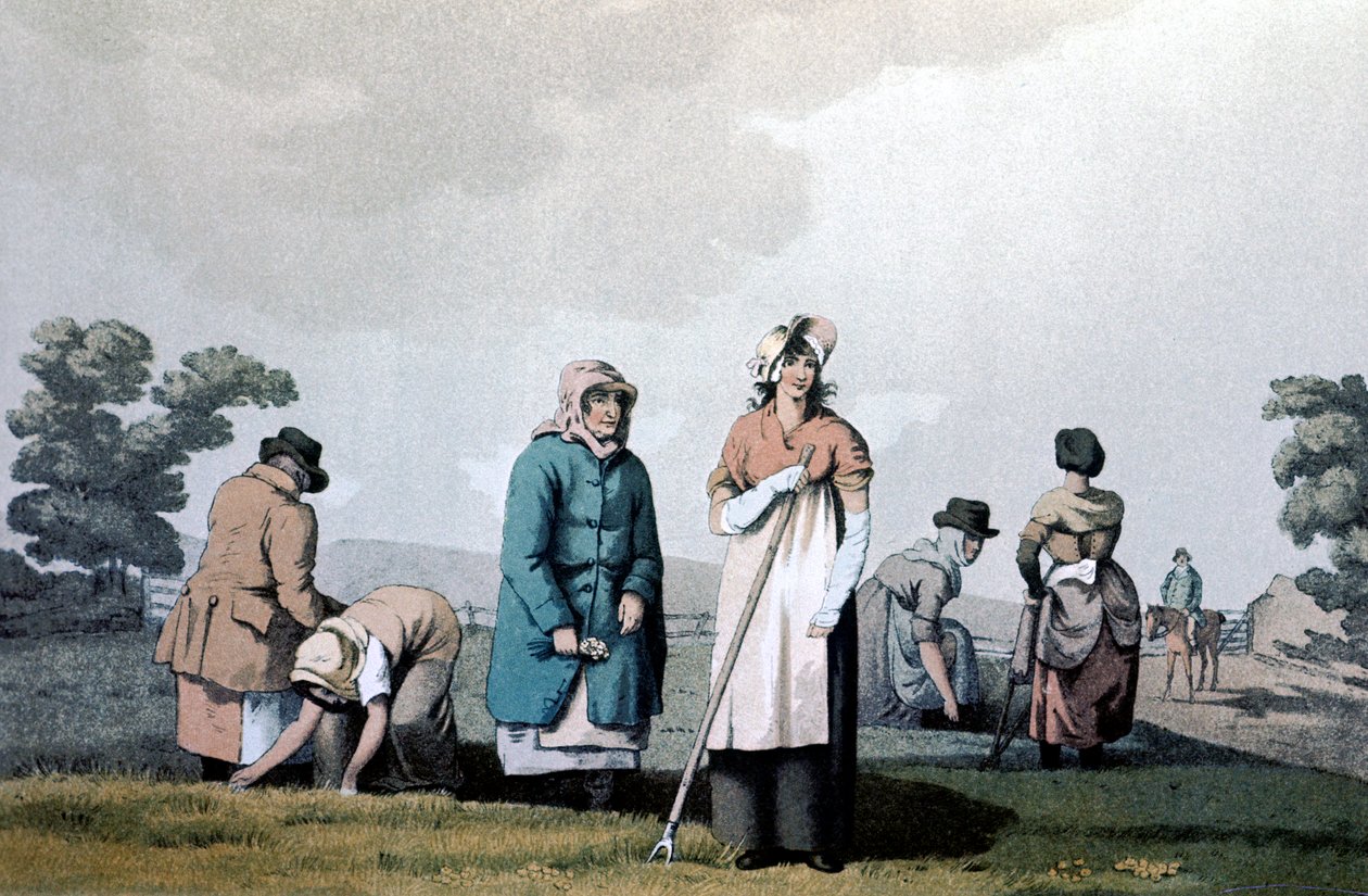 Lowkers - Frauen, die Mais jäteten, 1814 von George Walker of Seacroft