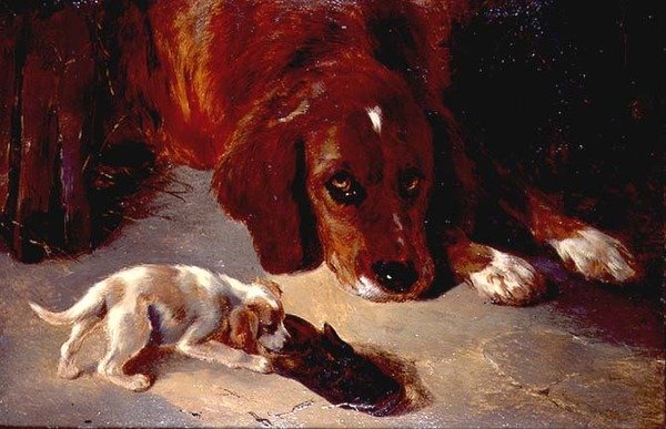 Ein neugieriger Welpe von George Wiliam Horlor