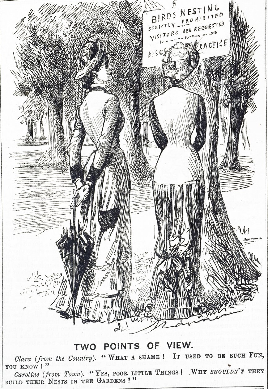 Karikatur, die das Schutzgesetz für Vögel von 1880 kommentiert von George du Maurier
