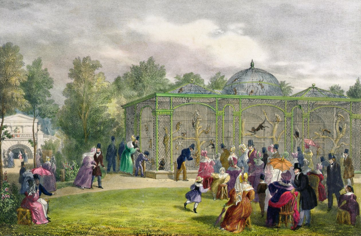 Das Affenhaus im Zoologischen Garten, Regent