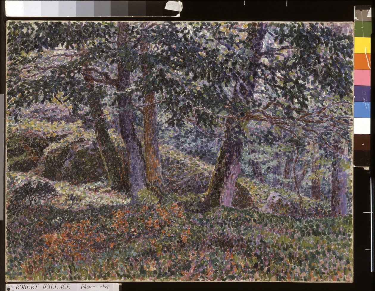 Eichen und Blaubeerbüsche von Georges Lacombe
