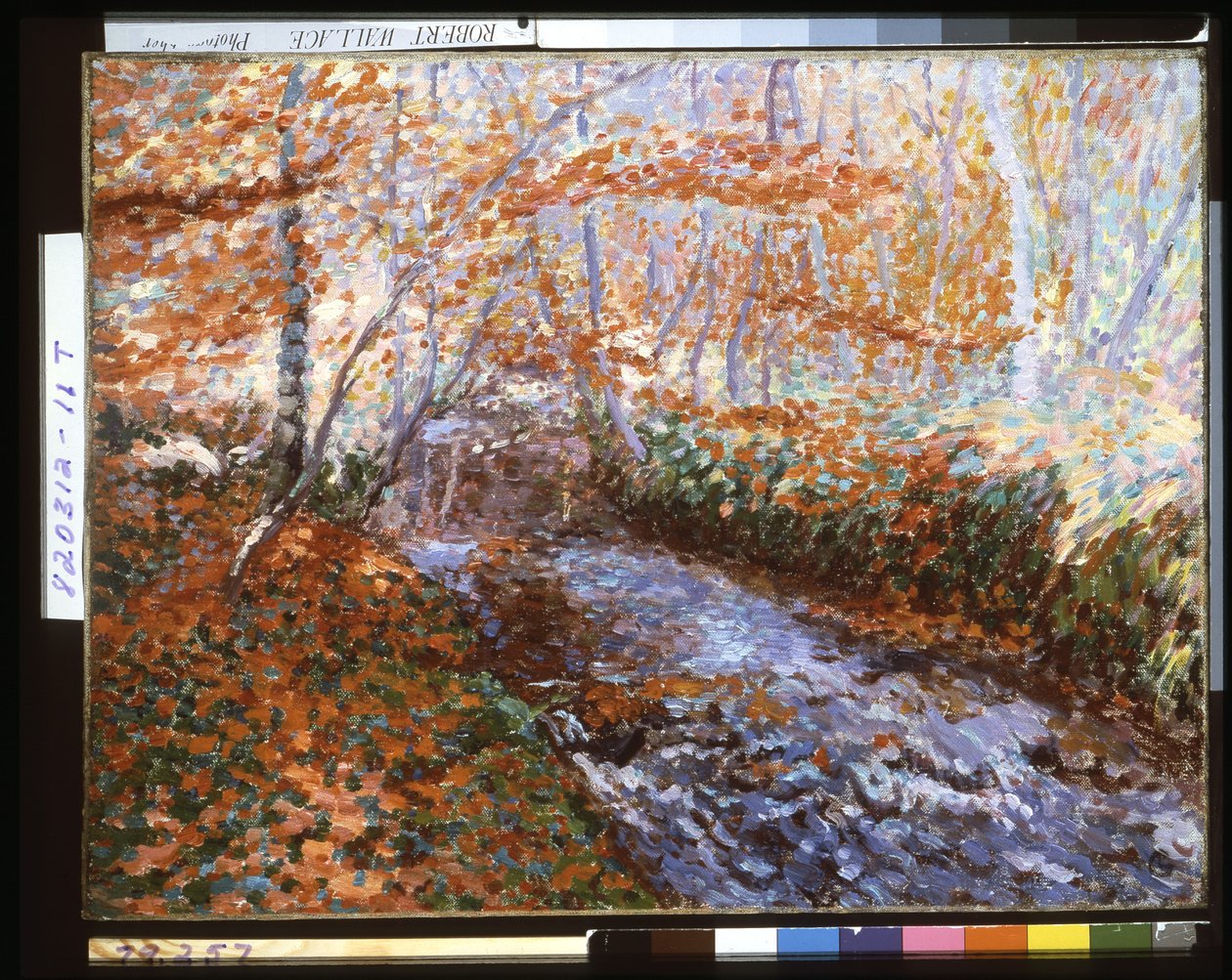 Der Briante-Fluss (Waldinneres im Herbst) von Georges Lacombe