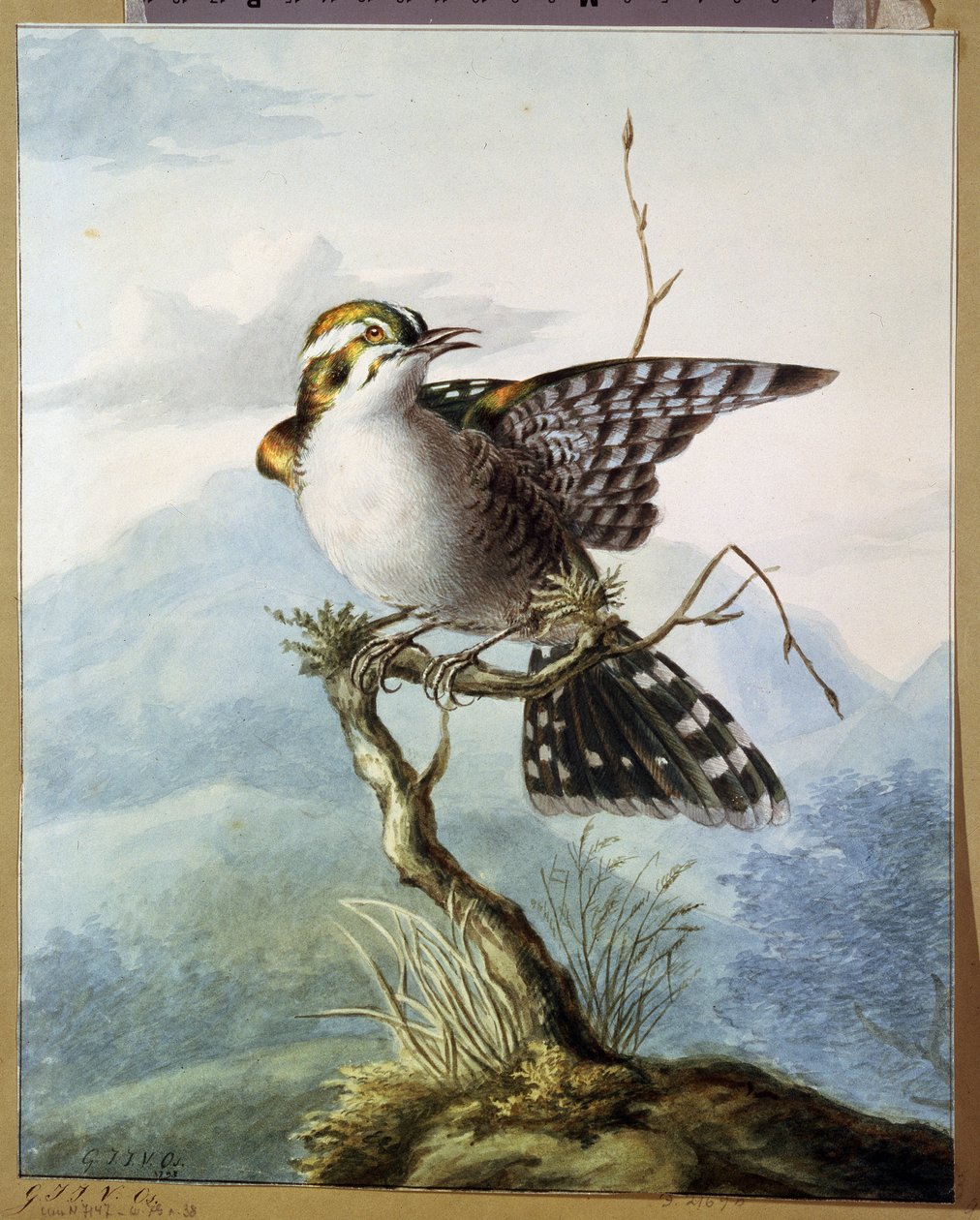 Ein kleiner Vogel von Georgius Jacobus Johannes van Os