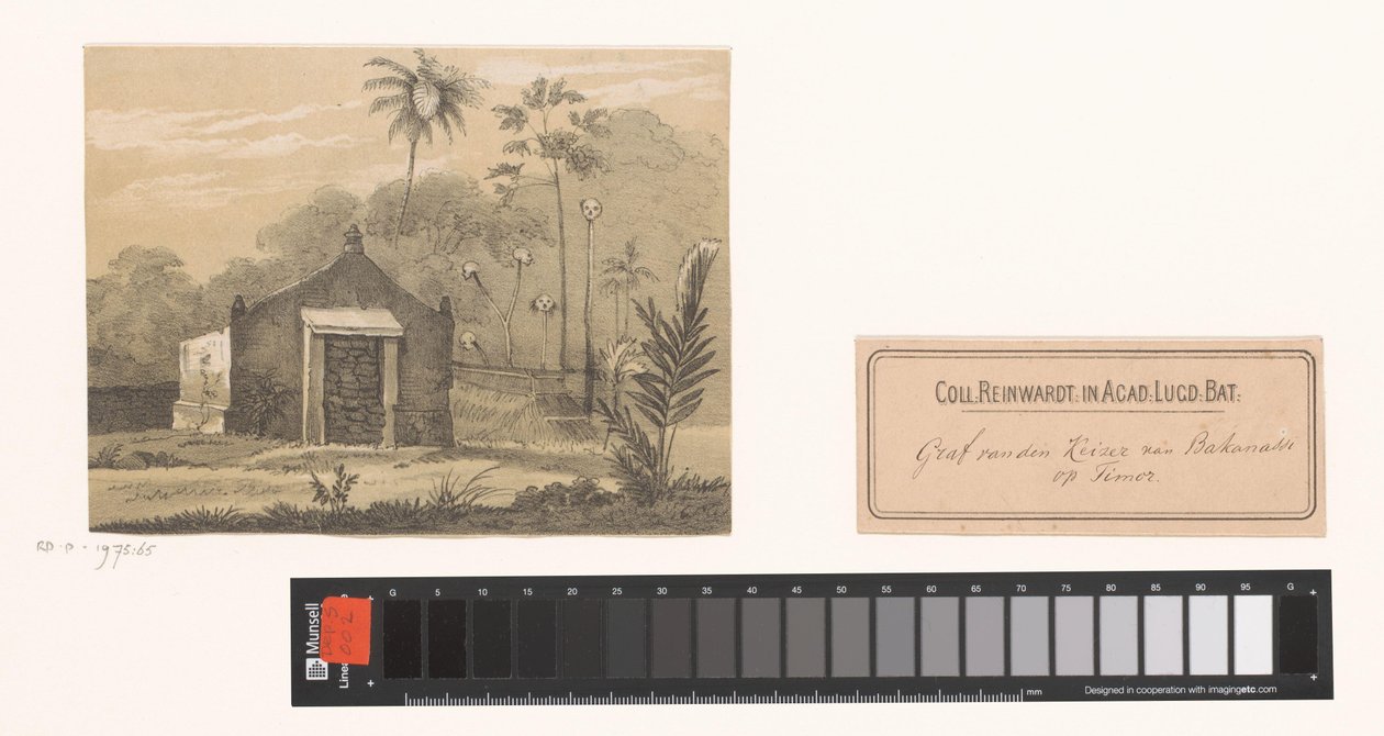 Grab des Kaisers auf Timor von Gerardus Johannes Bos