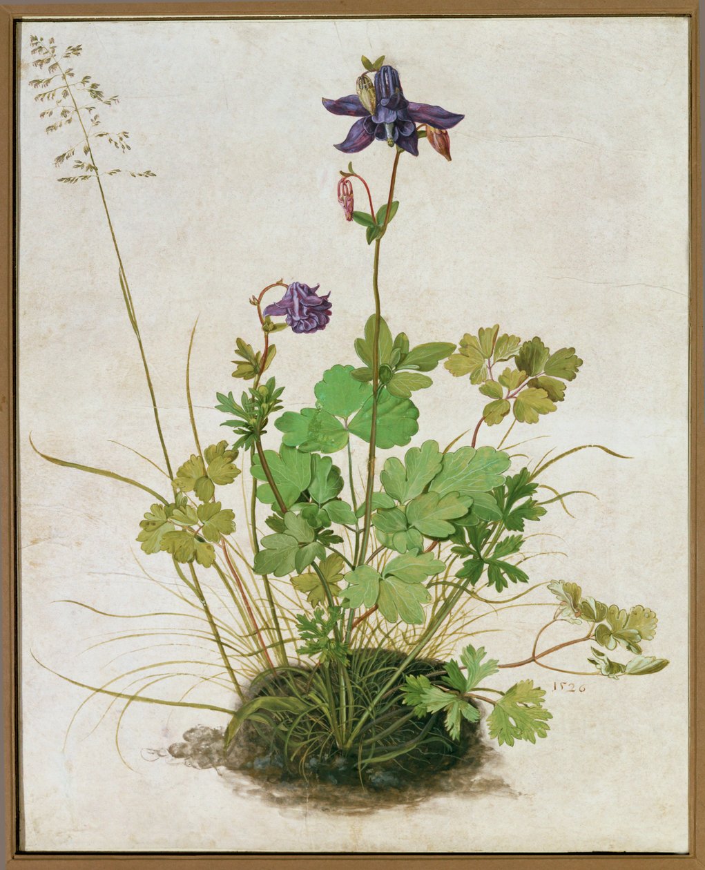 Columbine von German School