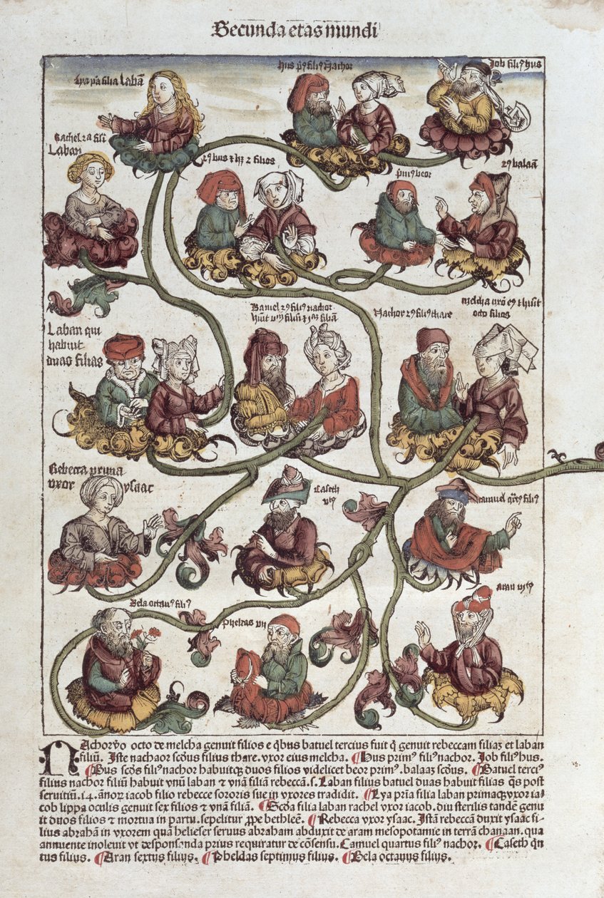 Genealogischer Baum von Laban, aus 