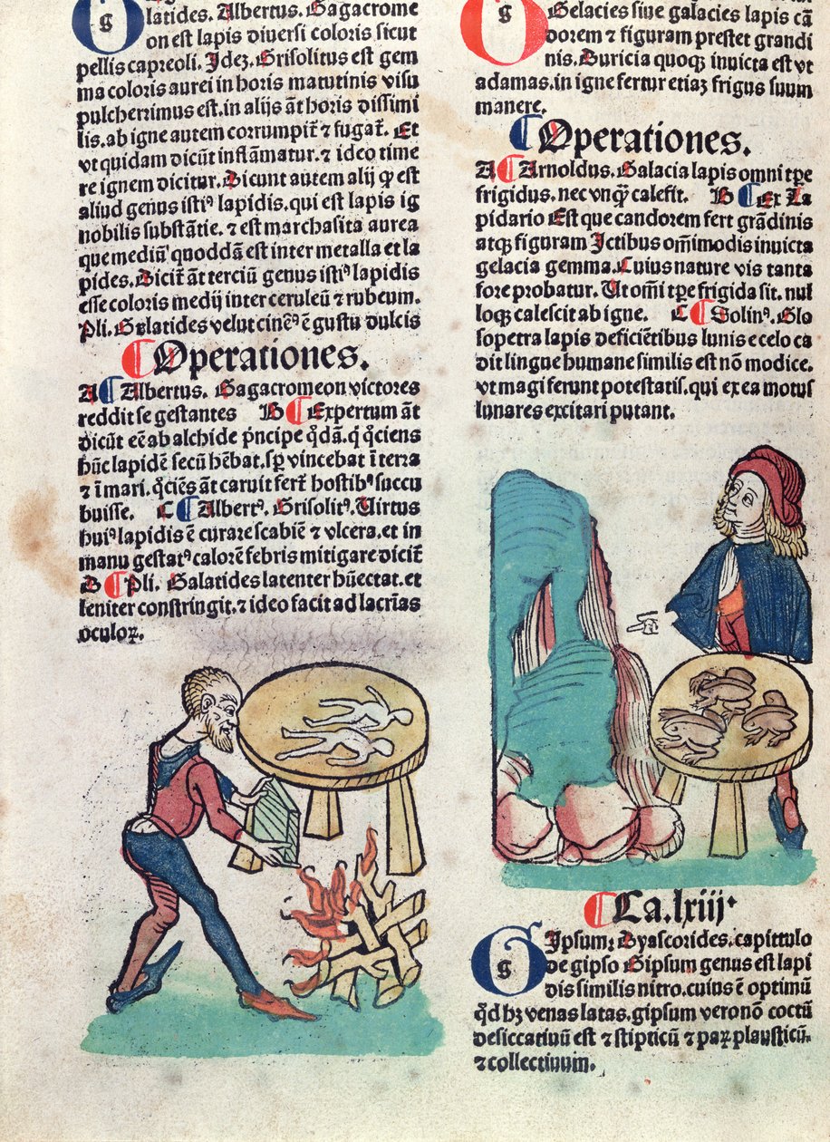 Illustrierte Seite aus Hortus Sanitatis, 1491 von German School