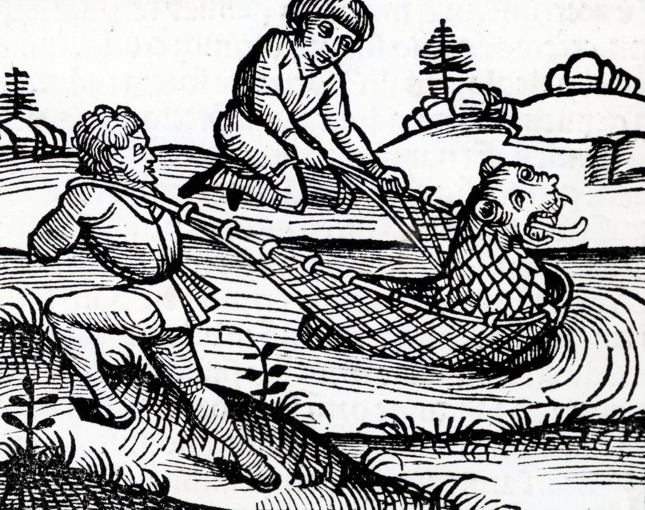 Illustration aus der Nürnberger Chronik, 1493 von German School