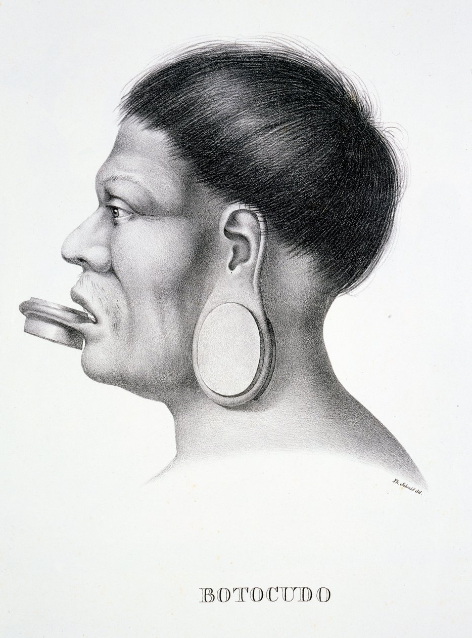 Einheimischer Mann des Botocudo-Stammes mit Gesichtsschmuck, aus Atlas einer Reise in Brasilien von Dr. von Spix und Dr. von Martius von German School
