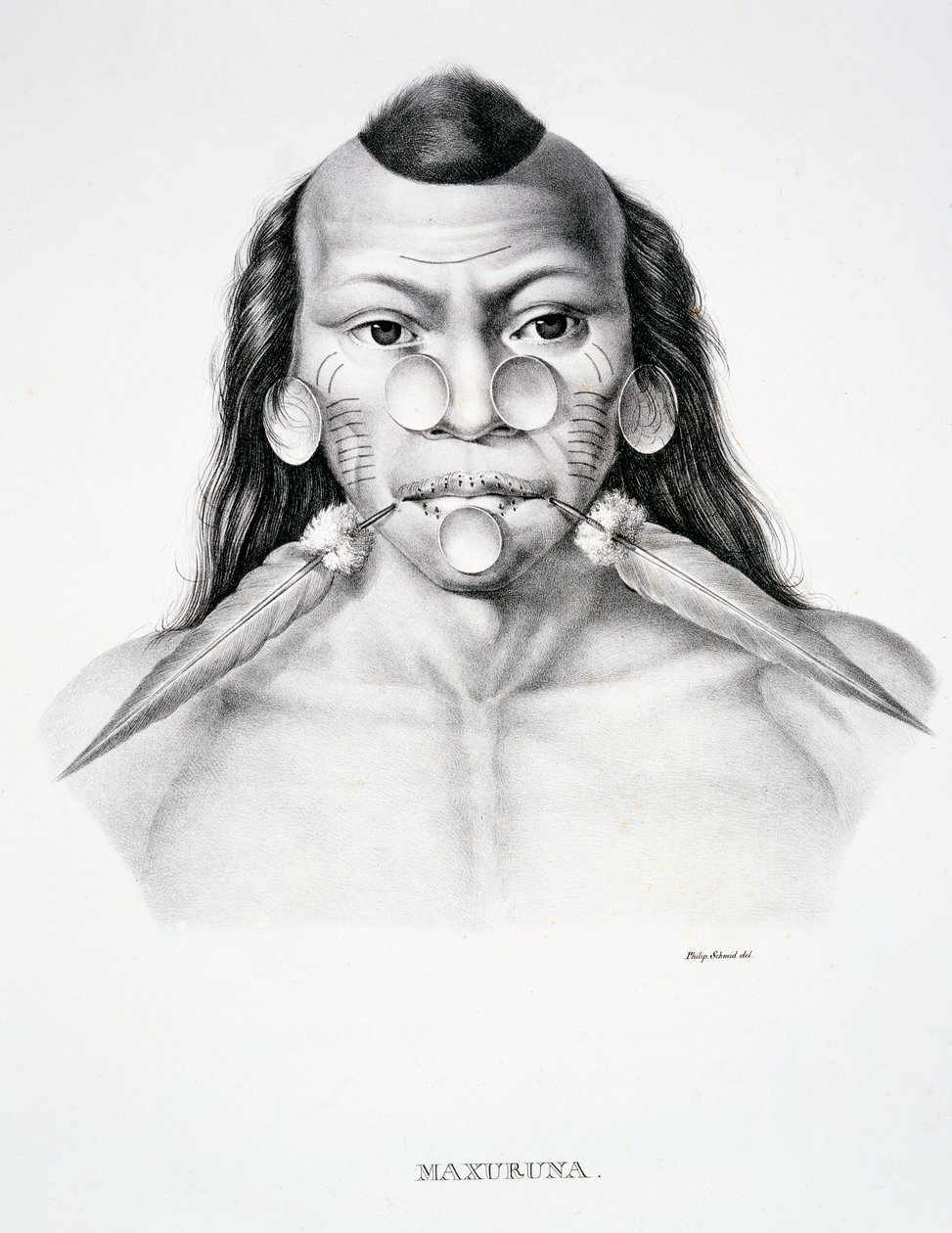Einheimischer Mann des Maxuruna-Stammes mit Gesichtsschmuck, aus Atlas einer Reise in Brasilien von Dr. von Spix und Dr. von Martius von German School