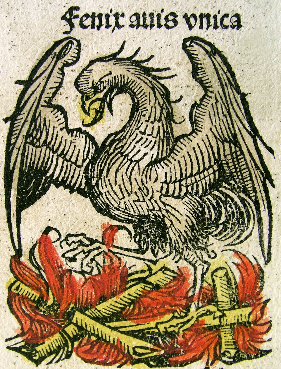 Phönix, veröffentlicht in der Nürnberger Chronik, 1493 von German School