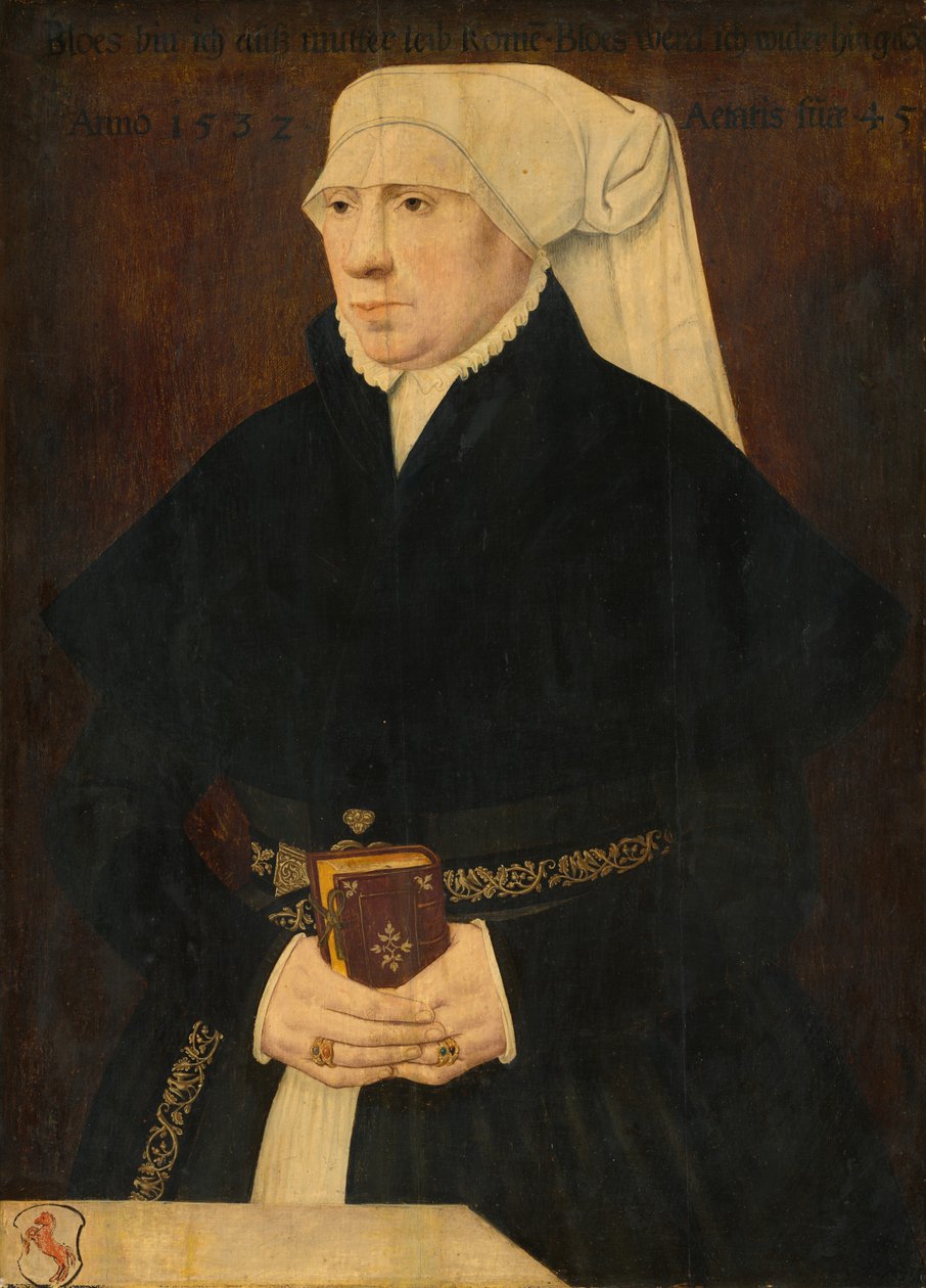 Porträt einer Dame von German School