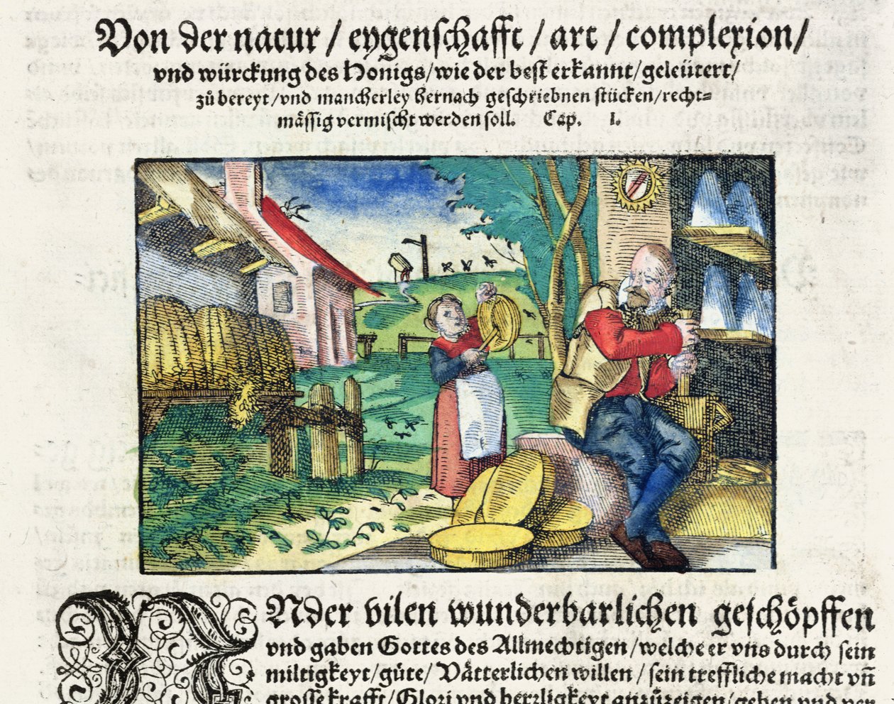 Die heilenden und therapeutischen Anwendungen von Honig in der Medizin, Illustration aus einem deutschen Traktat über Medizin, veröffentlicht in Straßburg 1573 von German School