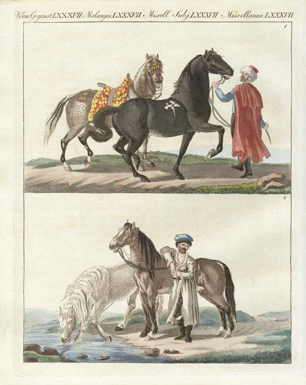 Das Pferd mit seinen verschiedenen Arten von German School