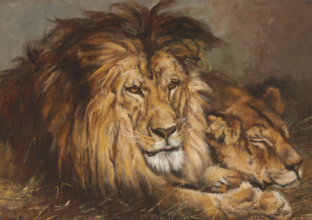 Skizze für "Löwe und Löwin ruhend", 1899 von Geza Vastagh